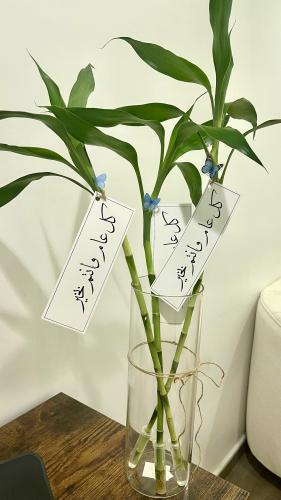 توزيعات بامبو