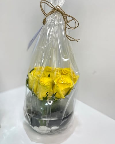 حوض ورد مع سمكة الفايتر