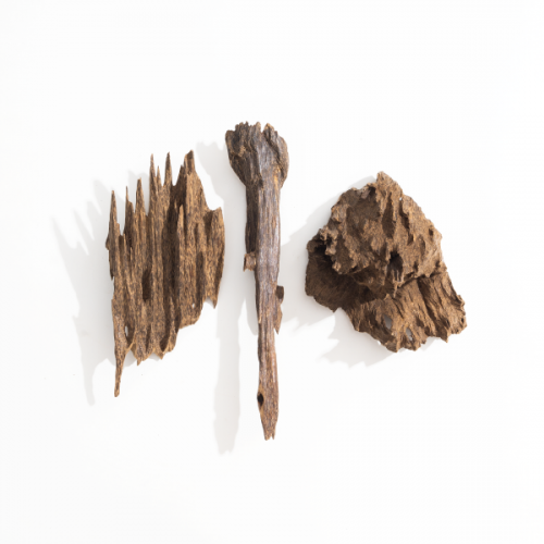 خشب عود نوادر مجموعه مكس ( ماليزي - كلمنتان - فلبي...