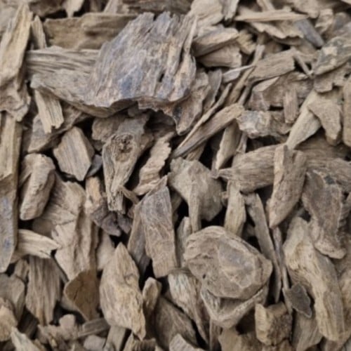 عود كلمنتان بونتيانك سوبر مرتفع