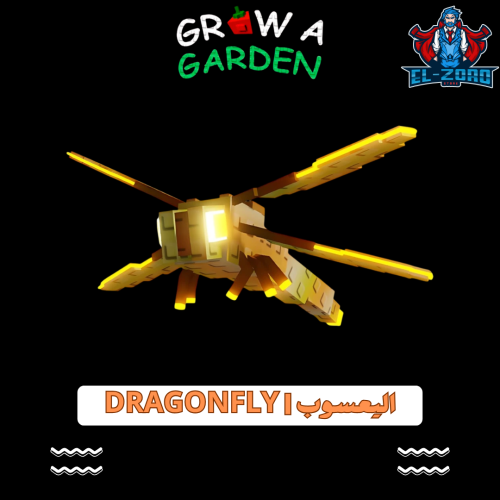 دراقون فلاي | Dragonfly
