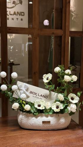 حلا بوكس لاند