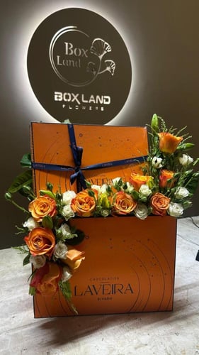 تنسيق حلا لافيرا الحجم الكبير