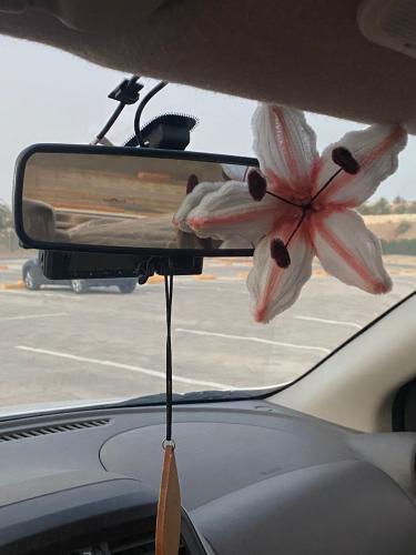تعليقة سيارة