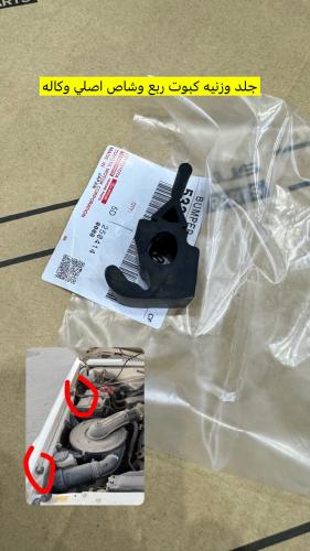 جلد وزنيه كبوت ربع وشاص اصلي