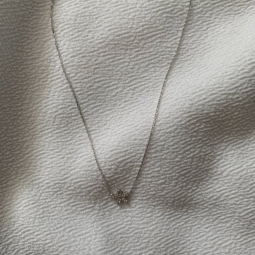 سلسال نجمة البحر