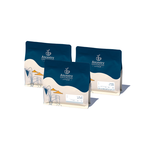 مجموعة البداية