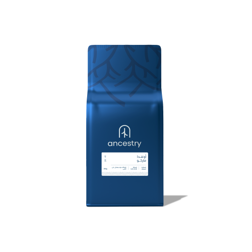 أوغندا - ماركو | 1KG