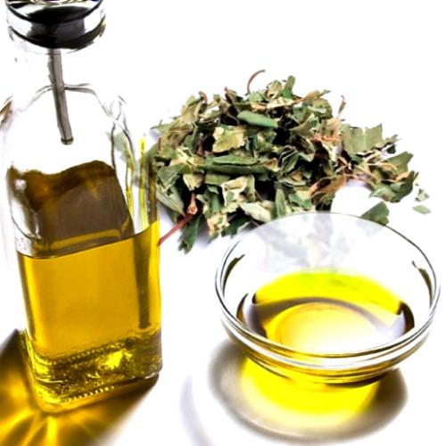 زيت السدر المركز