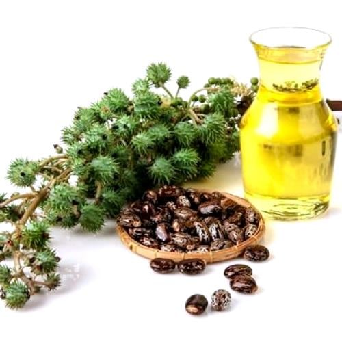 زيت الخروع المركز