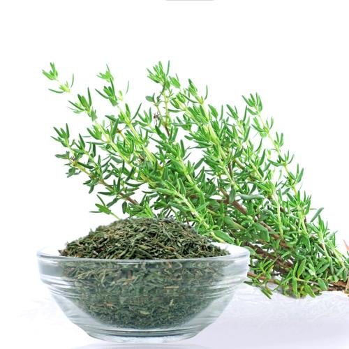 نكهة الزعتر المركزة - 100 جرام