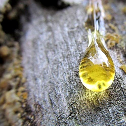 زيت عطري لرائحة شجرة المر