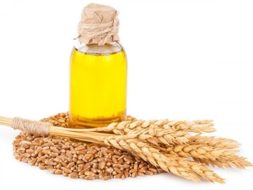 زيت جنين القمح المركز