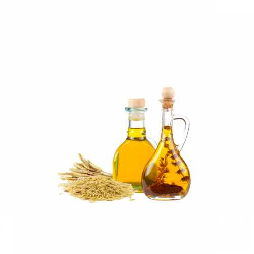 زيت نخالة الأرز المركز
