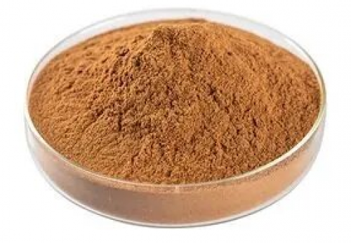 مسحوق مستخلص بذور الكتان 100 جم