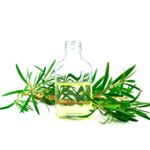 زيت شجرة الشاي الاساسي - 100 جرام