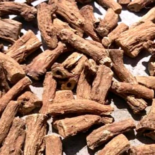 زيت القسط الهندي المركز