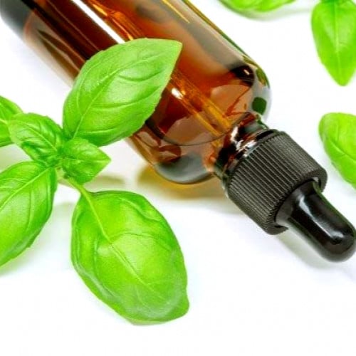 زيت الريحان المركز