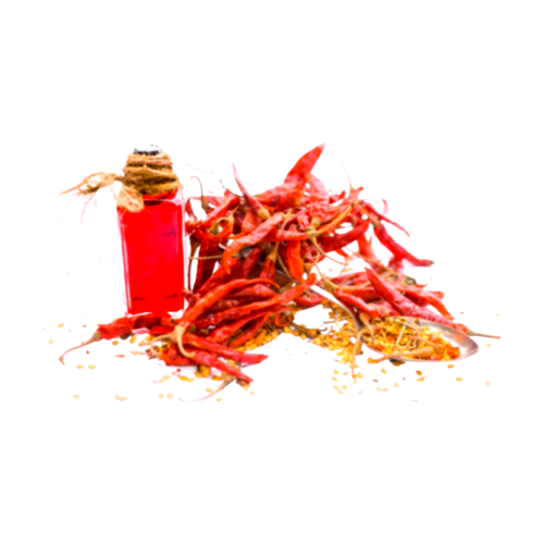 زيت الفلفل الأحمر مركز