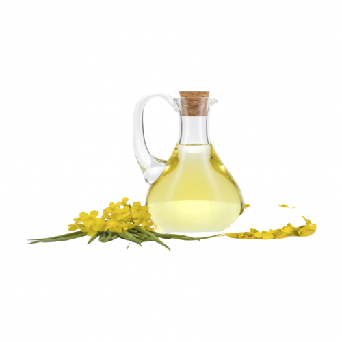 زيت الكانولا المركز