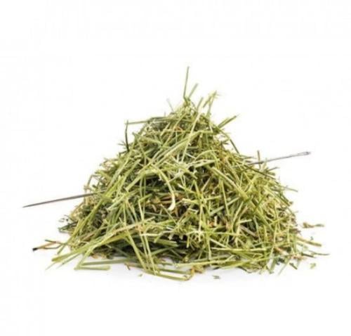 عشبة المدينة كيلو