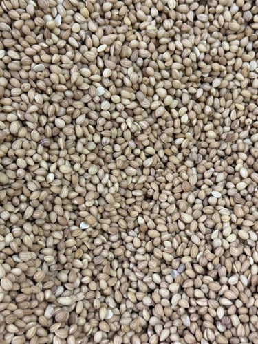 محلب سوري 250 مل