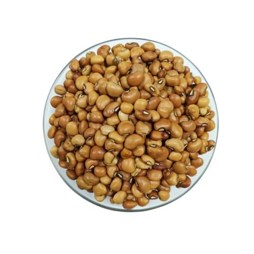 لوبيا حمراء (تجر) - فاخرة