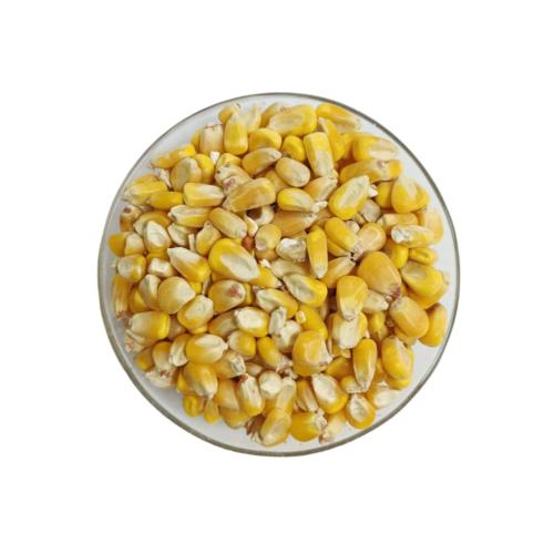 شام هندي متعدد الوزنشام هندي فاخر - ذرة هندية صفرا...