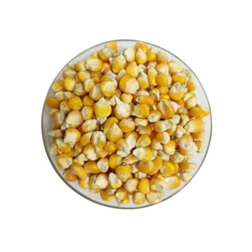 شام يمني فاخر - ذرة يمنية طبيعية