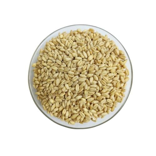 بر استرالي فاخر - قمح استرالي عالي الجودة