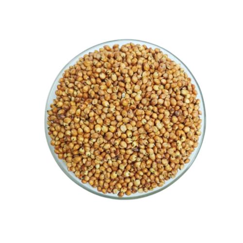 ذرة حمراء طبيعية فاخرة - حبوب ذرة ملونة