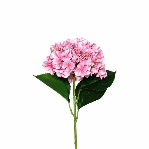 غصن هيدرنجا وردي