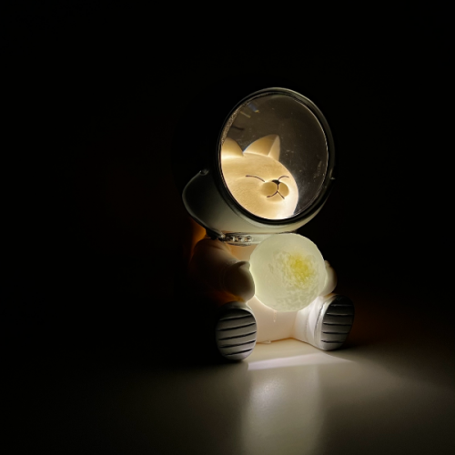 كات حارس المجرة