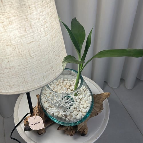 #5 ابجورة خشب طبيعي مع زجاج مُنصهر