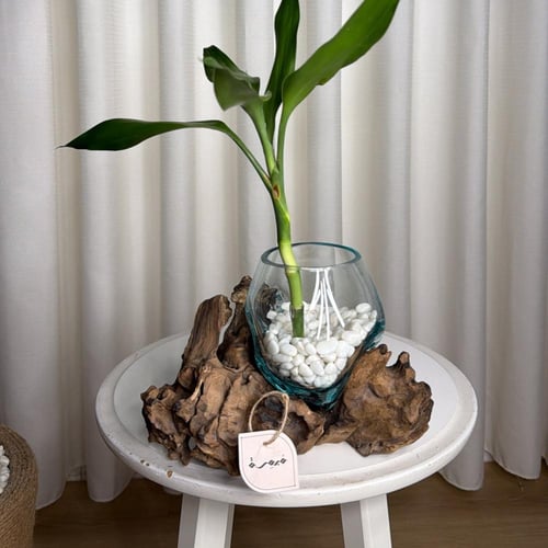 #10 خشب طبيعي مع زجاج مُنصهر