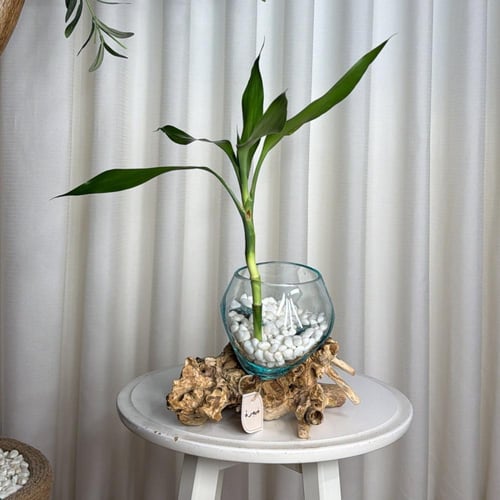 #13 خشب طبيعي مع زجاج مُنصهر