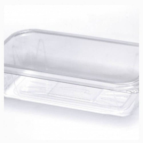 علب بلاستيك ساندوتش