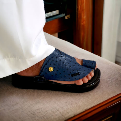 زبيرى - نعام كحلي × اسود