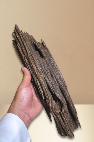 قطعة عود نجلاند تربل ملكي