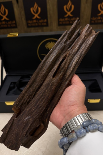قطعة عود هندي لضيافة و الاهداء الوزن 442 جران