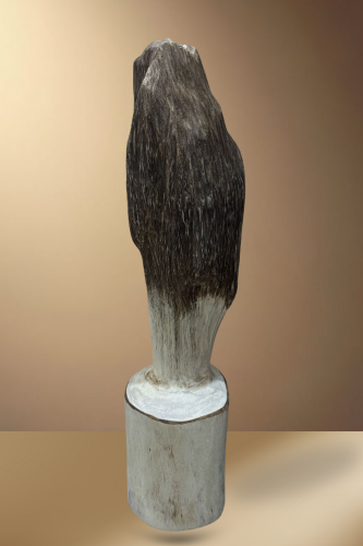 قطعة عود فتنامي حقيقي لديكور الوزن 580 جرام