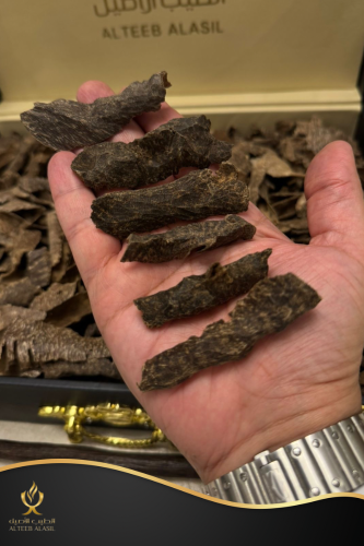 عود كمبودي دبل و تربل