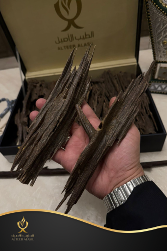 عرض 60 عود نجلاند تربل ملكي