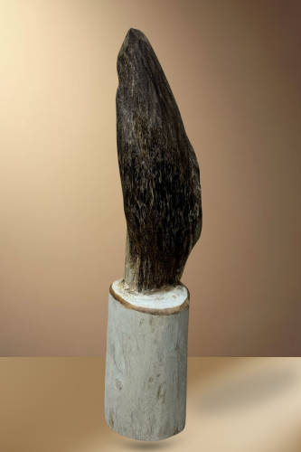 قطعة عود فتنامي حقيقي لديكور الوزن 262جرام