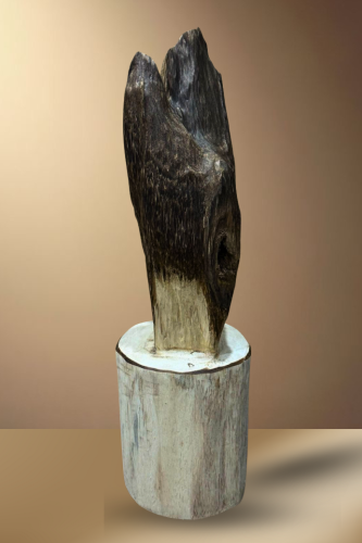 قطعة عود فتنامي حقيقي لديكور الوزن798 جرام