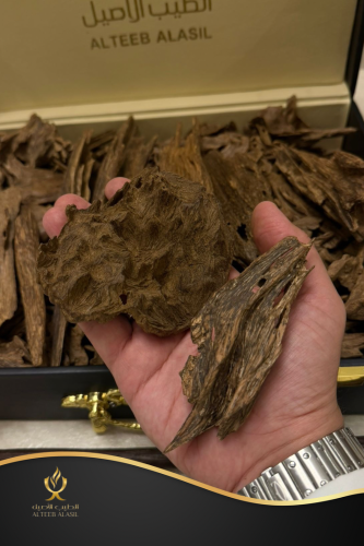 عود بروناي دبل و تربل فاخر