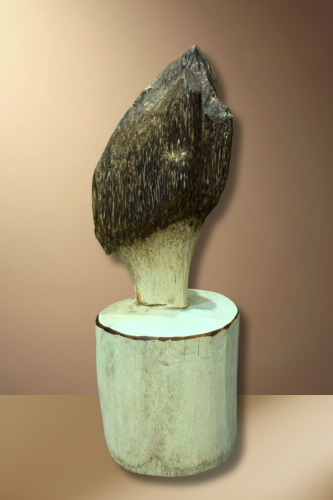 قطعة عود فتنامي حقيقي لديكور الوزن 876 جرام