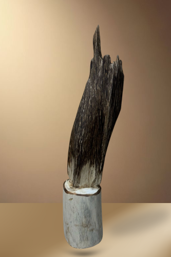 قطعة عود فتنامي حقيقي لديكور الوزن 284 جرام