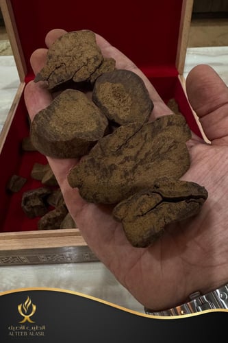 عود مروكي دبل و تربل قص الصيني