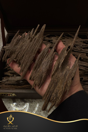 عود منيبور دبل سوبر